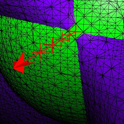 Detailed view of the triangular mesh