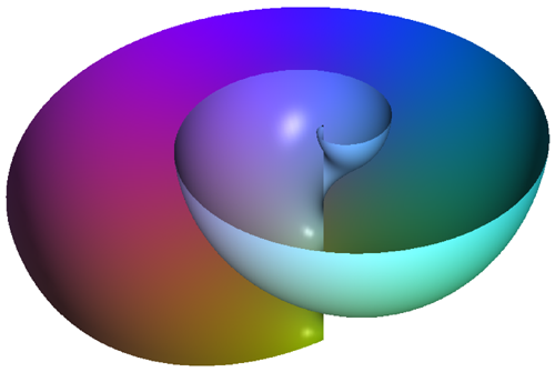 Half of the shell like surface